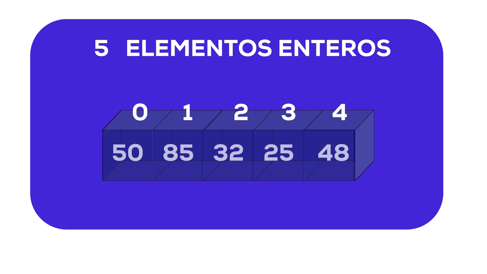 Vector cargado con datos
