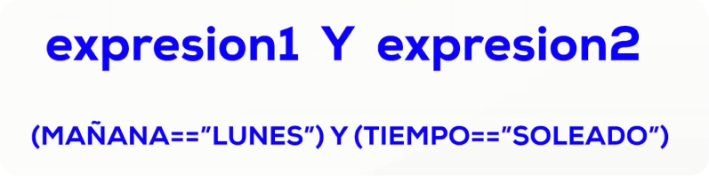 estructuras selectivas