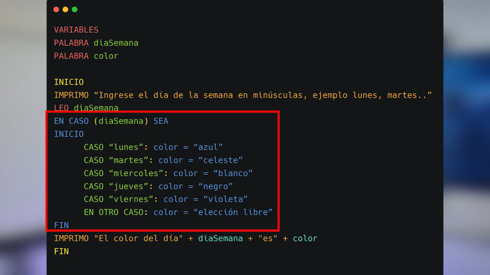 estructuras selectivas